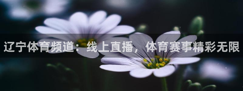 辽宁体育频道：线上直播，体育赛事精彩无限