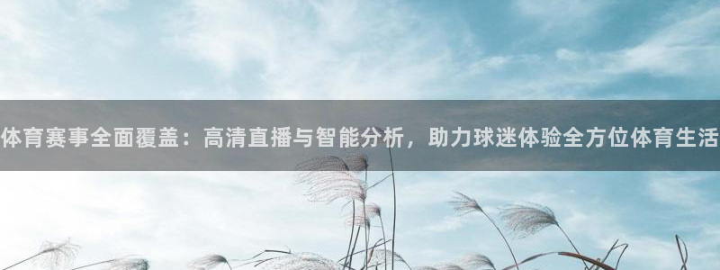 体育赛事全面覆盖：高清直播与智能分析，助力球迷体验全方位体育生活