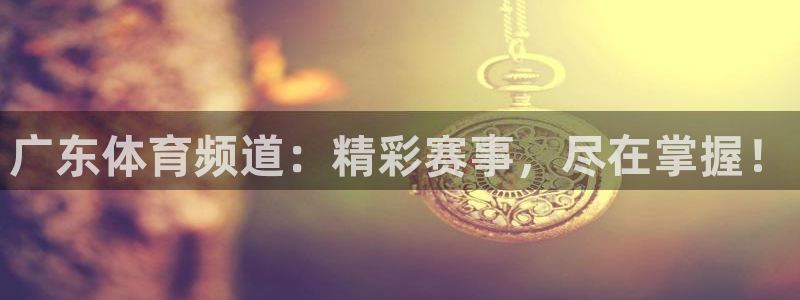 广东体育频道：精彩赛事，尽在掌握！