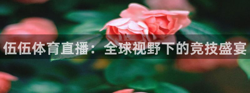 伍伍体育直播：全球视野下的竞技盛宴